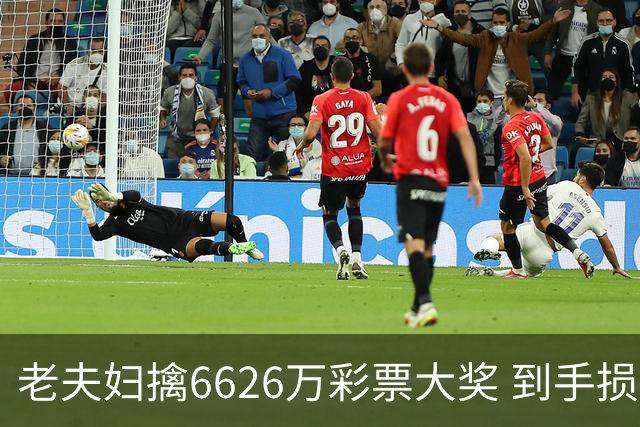 老夫妇擒6626万彩票大奖 到手损失50%决定平分